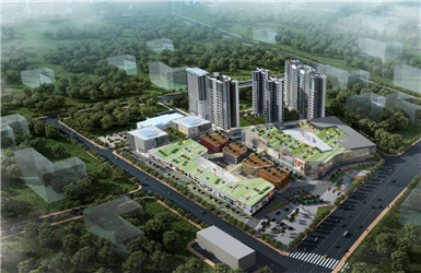 ���ſ�ƽ�������Ŀ